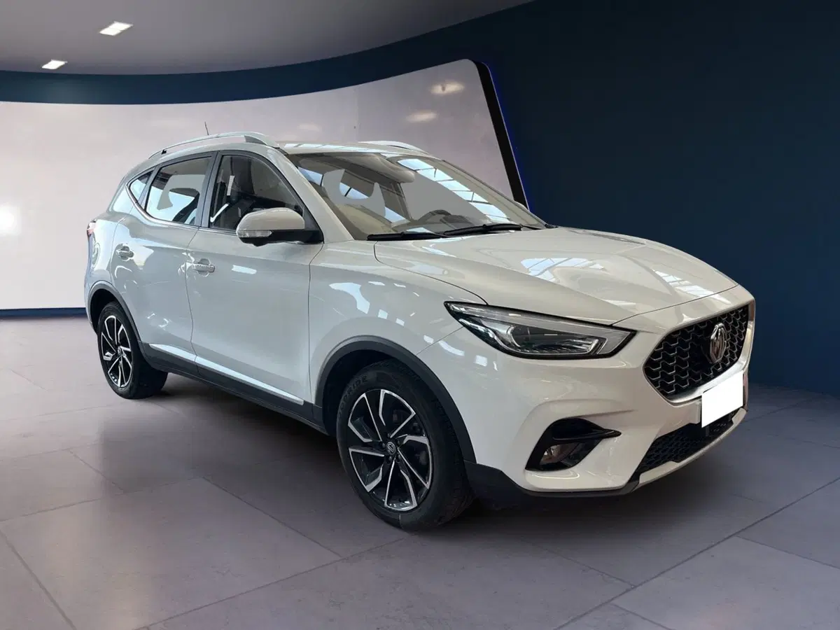 Mg ZS usata a Torino (2)