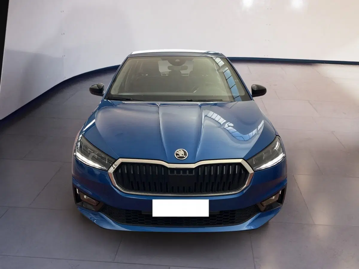 Skoda Fabia usata a Torino