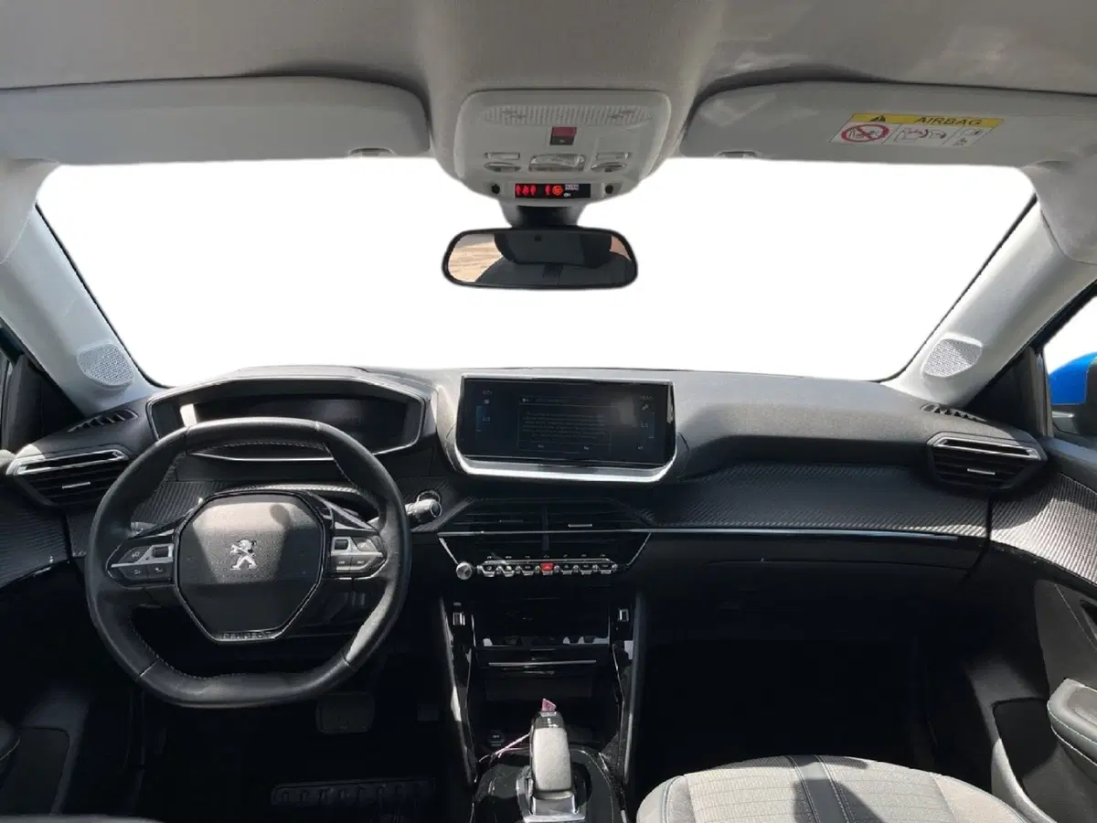 Peugeot 208 usata a Torino (11)