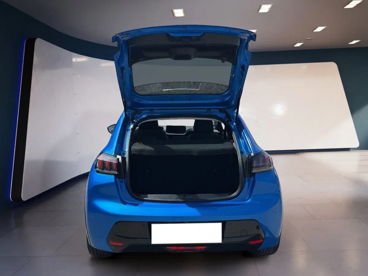 Peugeot 208 usata a Torino (7)