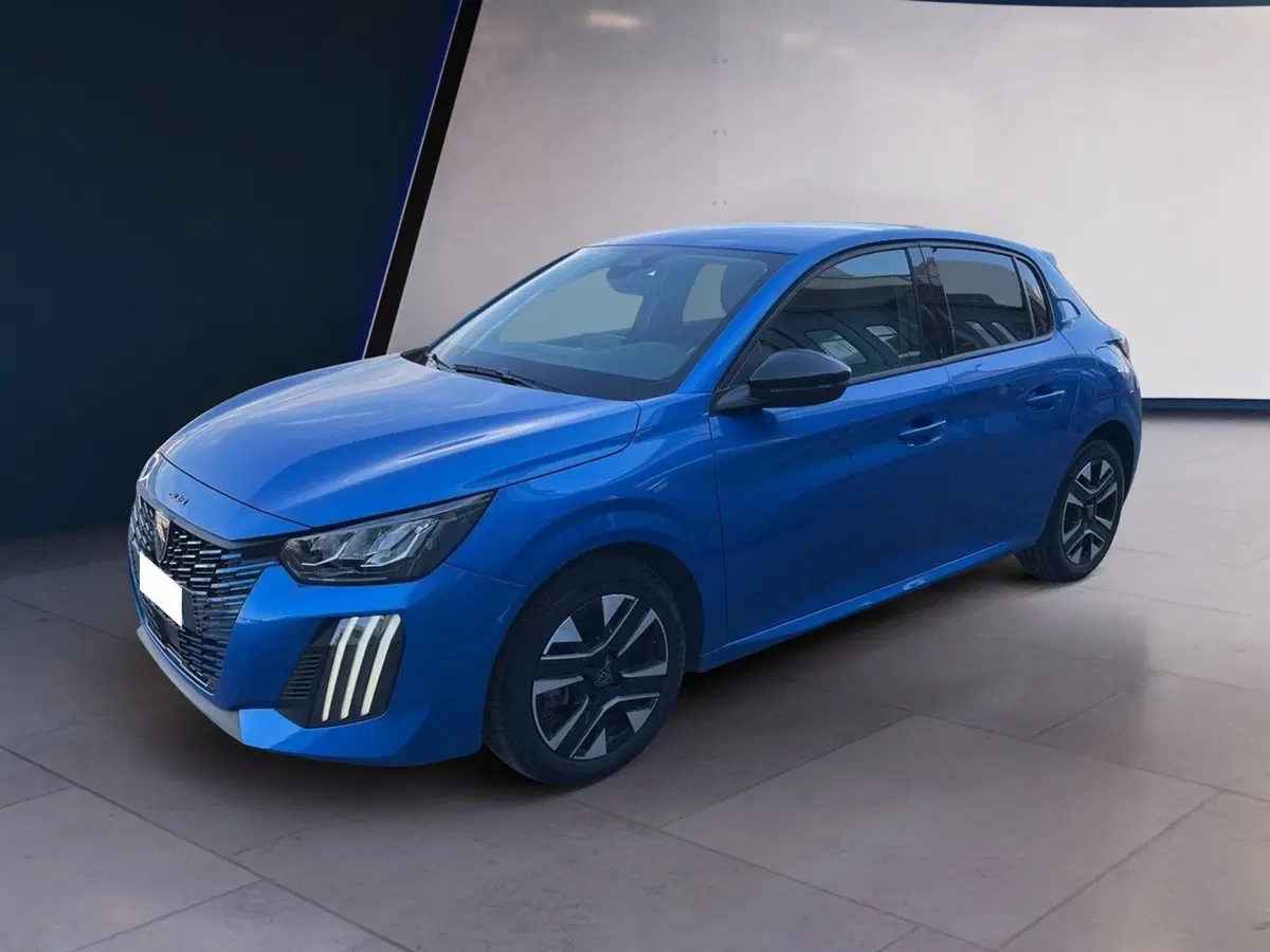 Peugeot 208 usata a Torino (2)