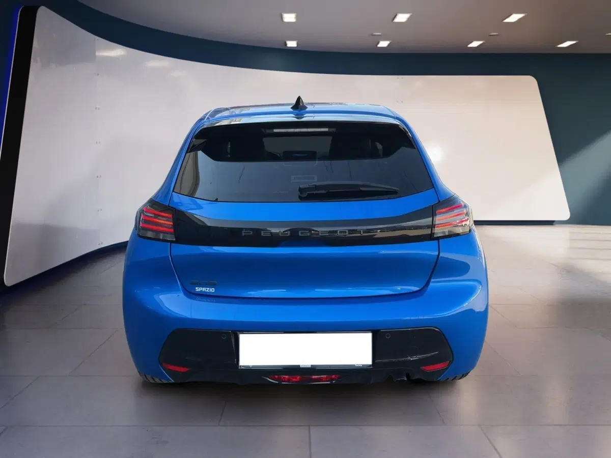 Peugeot 208 usata a Torino (5)
