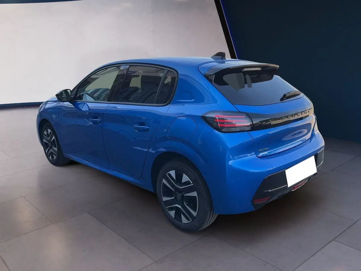 Peugeot 208 usata a Torino (6)