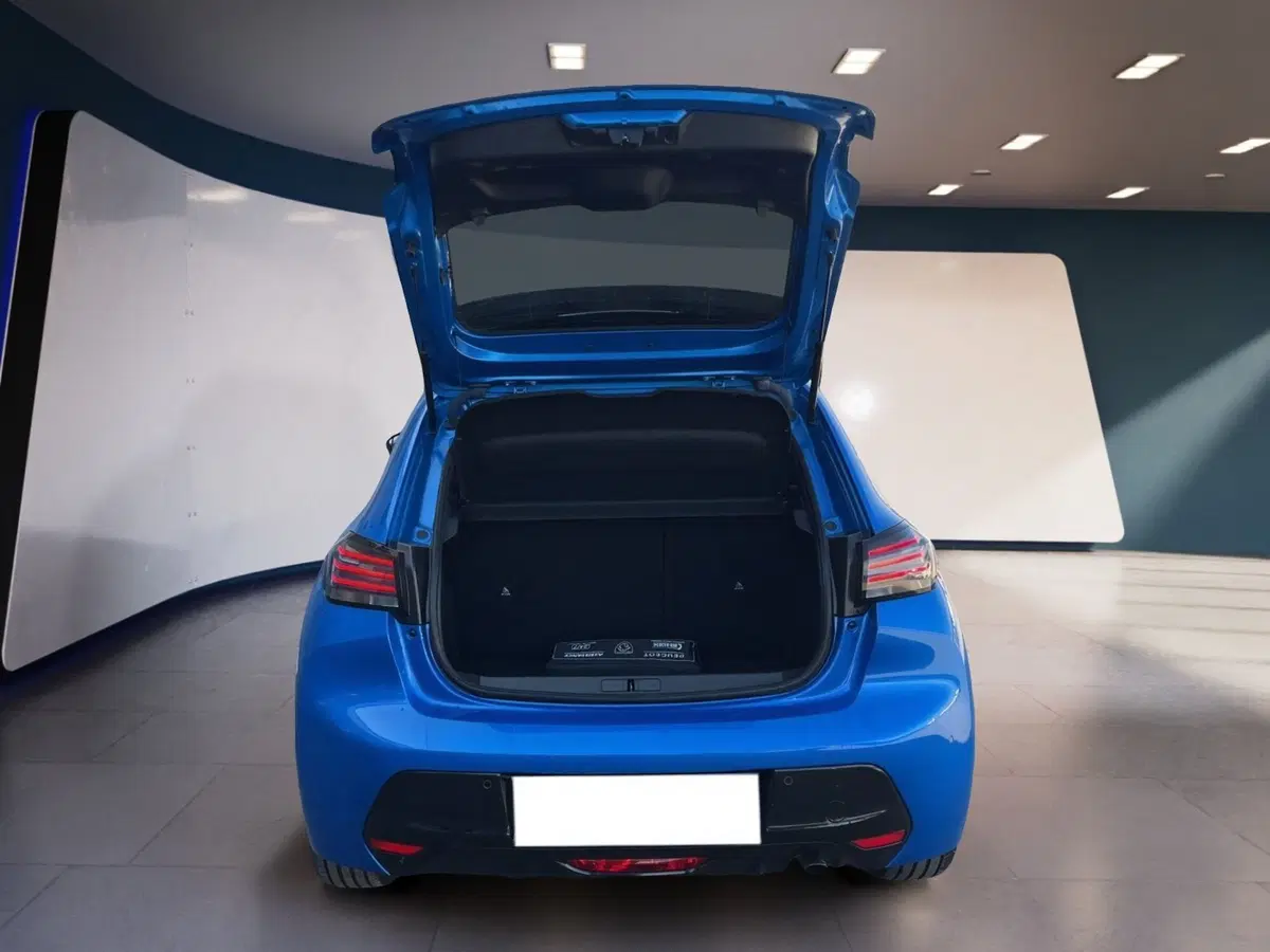 Peugeot 208 usata a Torino (8)