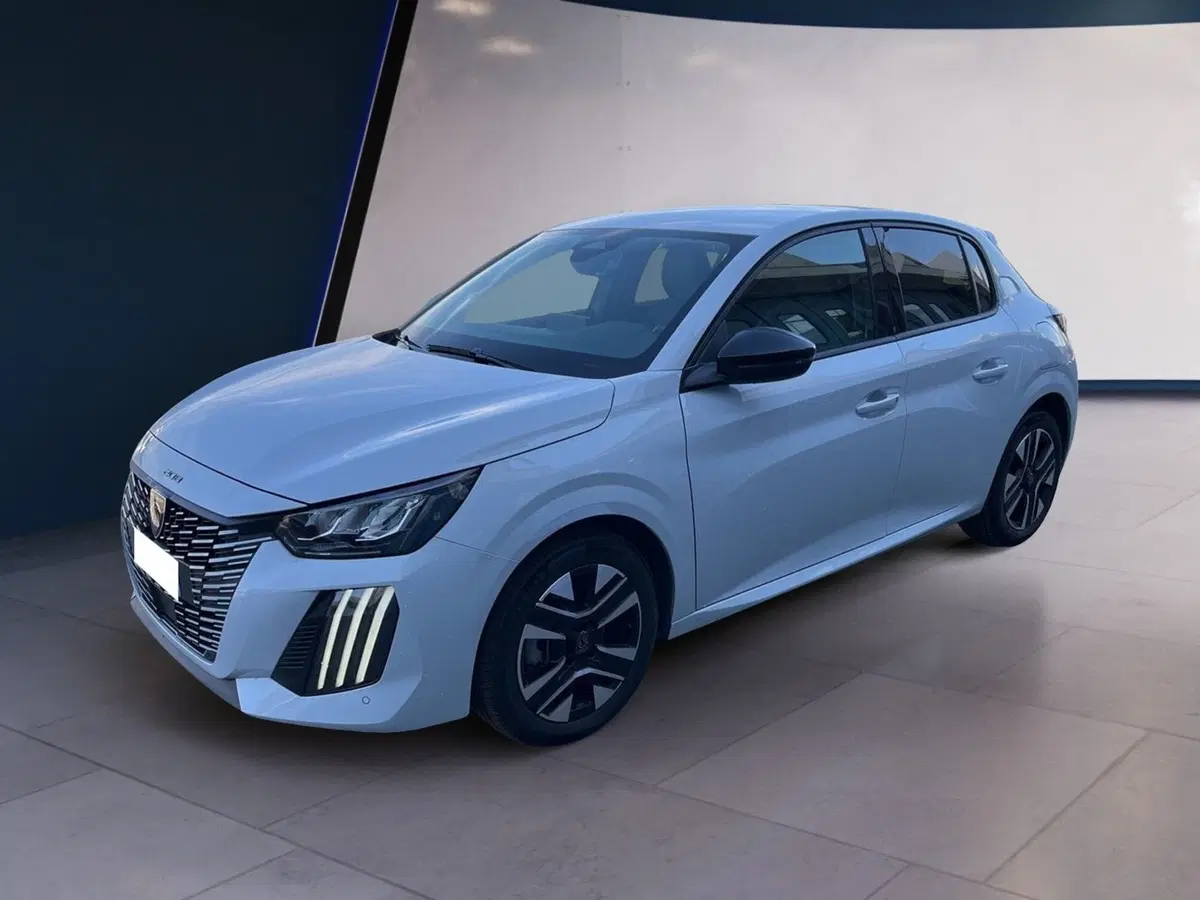 Peugeot 208 usata a Torino (2)