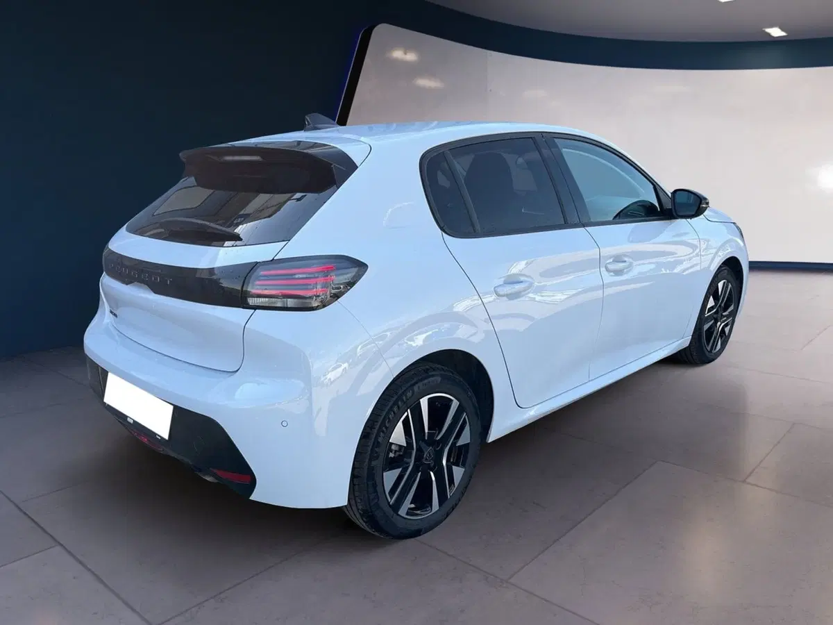Peugeot 208 usata a Torino (4)