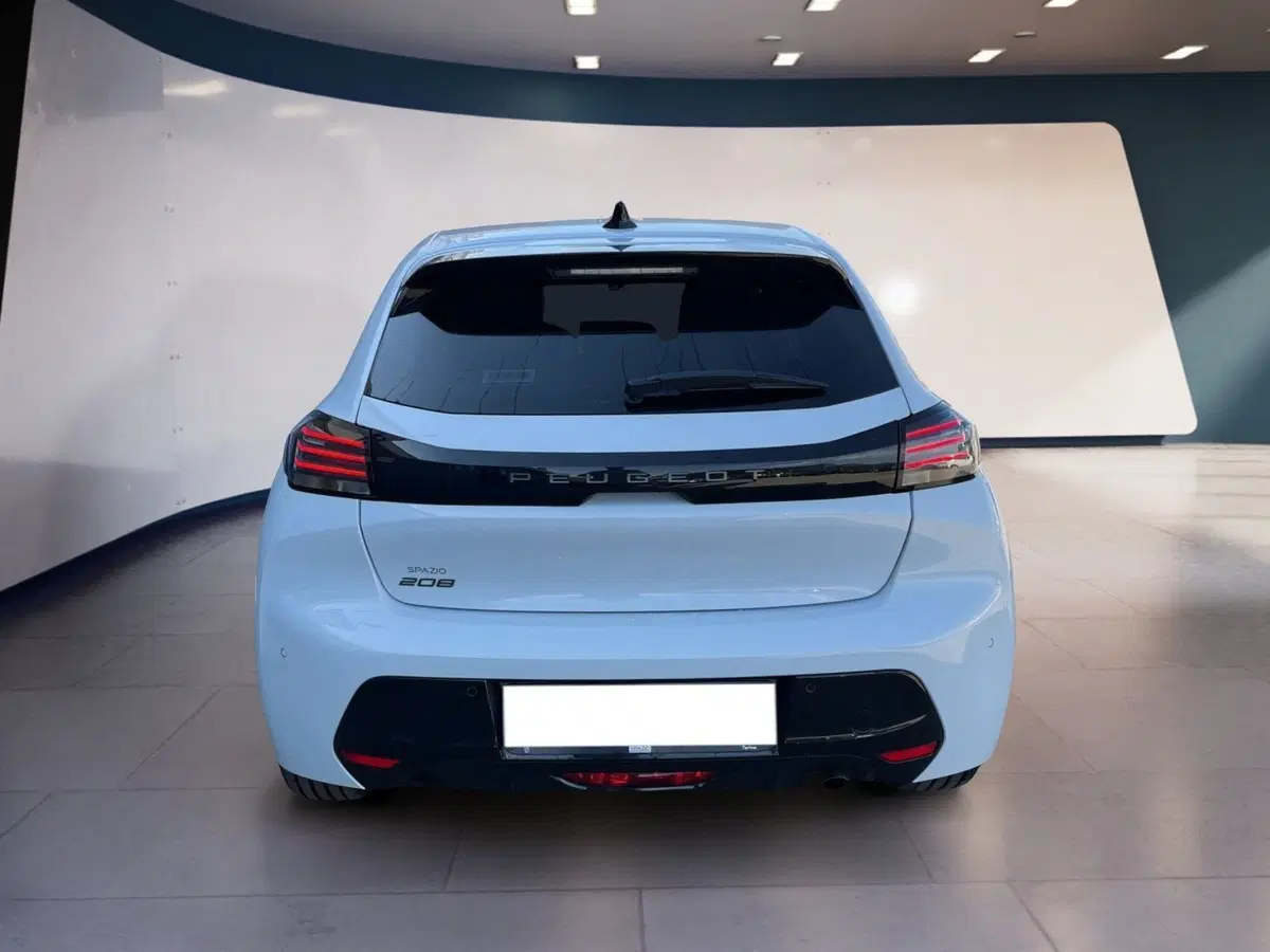 Peugeot 208 usata a Torino (5)