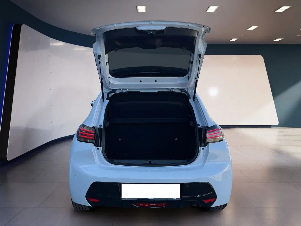 Peugeot 208 usata a Torino (8)