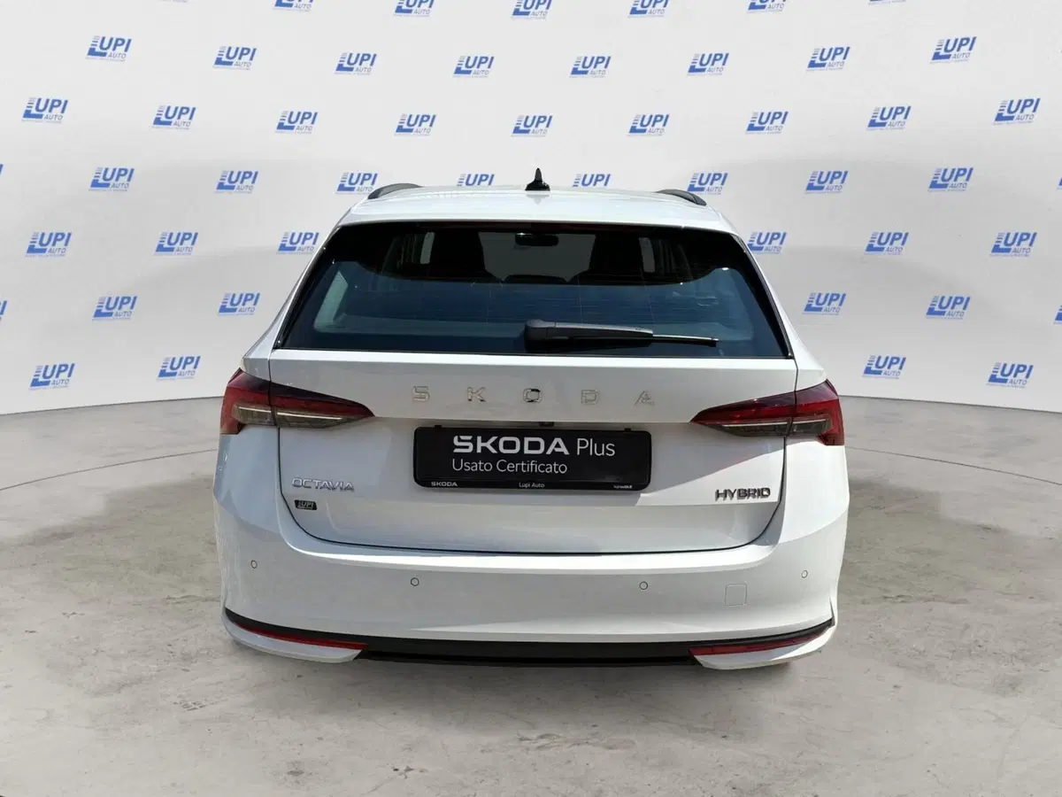 Skoda Octavia Station Wagon nuova a Prato (2)