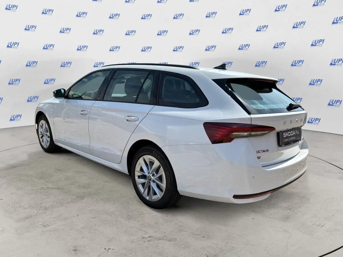 Skoda Octavia Station Wagon nuova a Prato (4)
