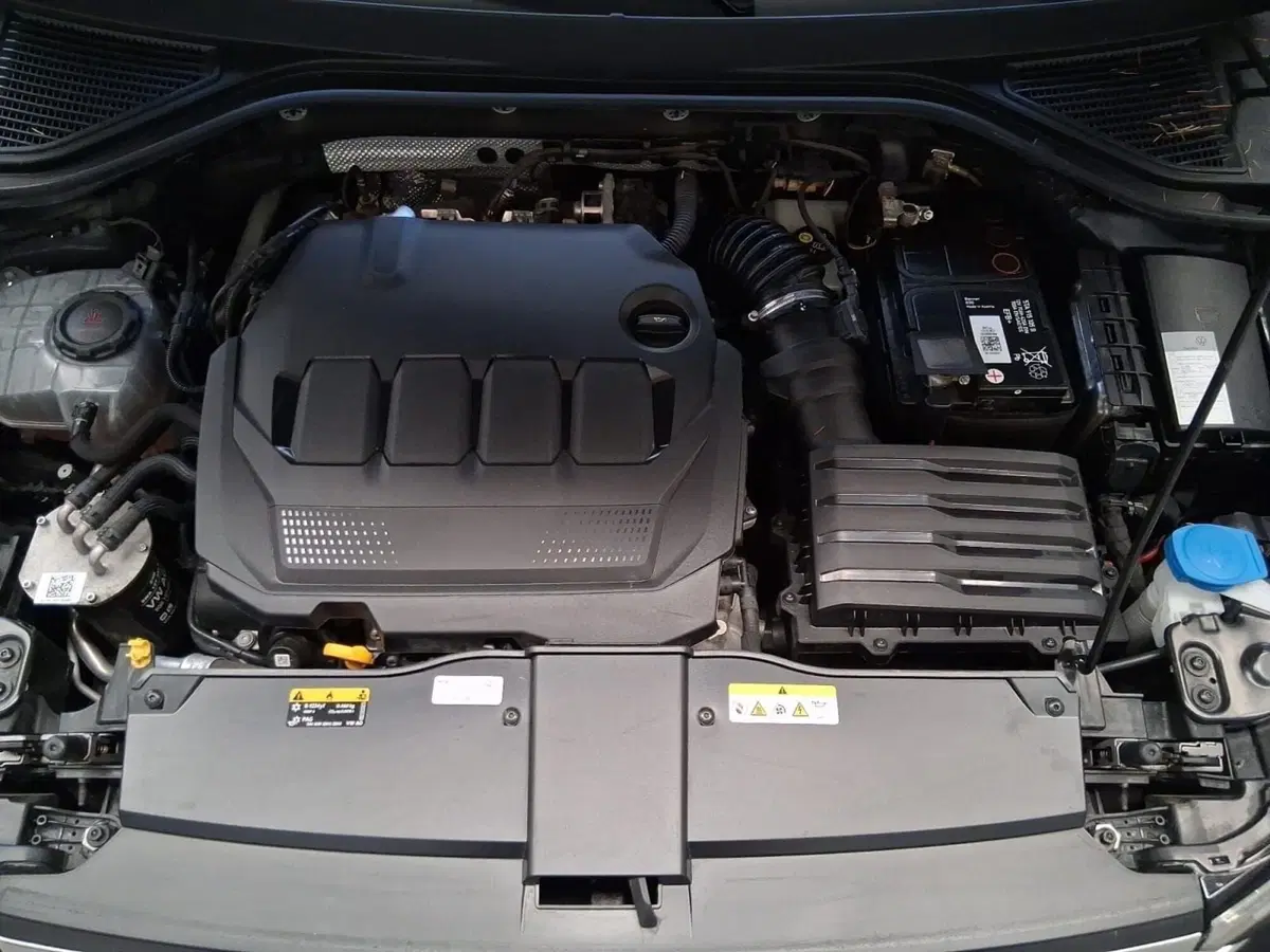 Volkswagen T-Roc usata a Bologna (11)