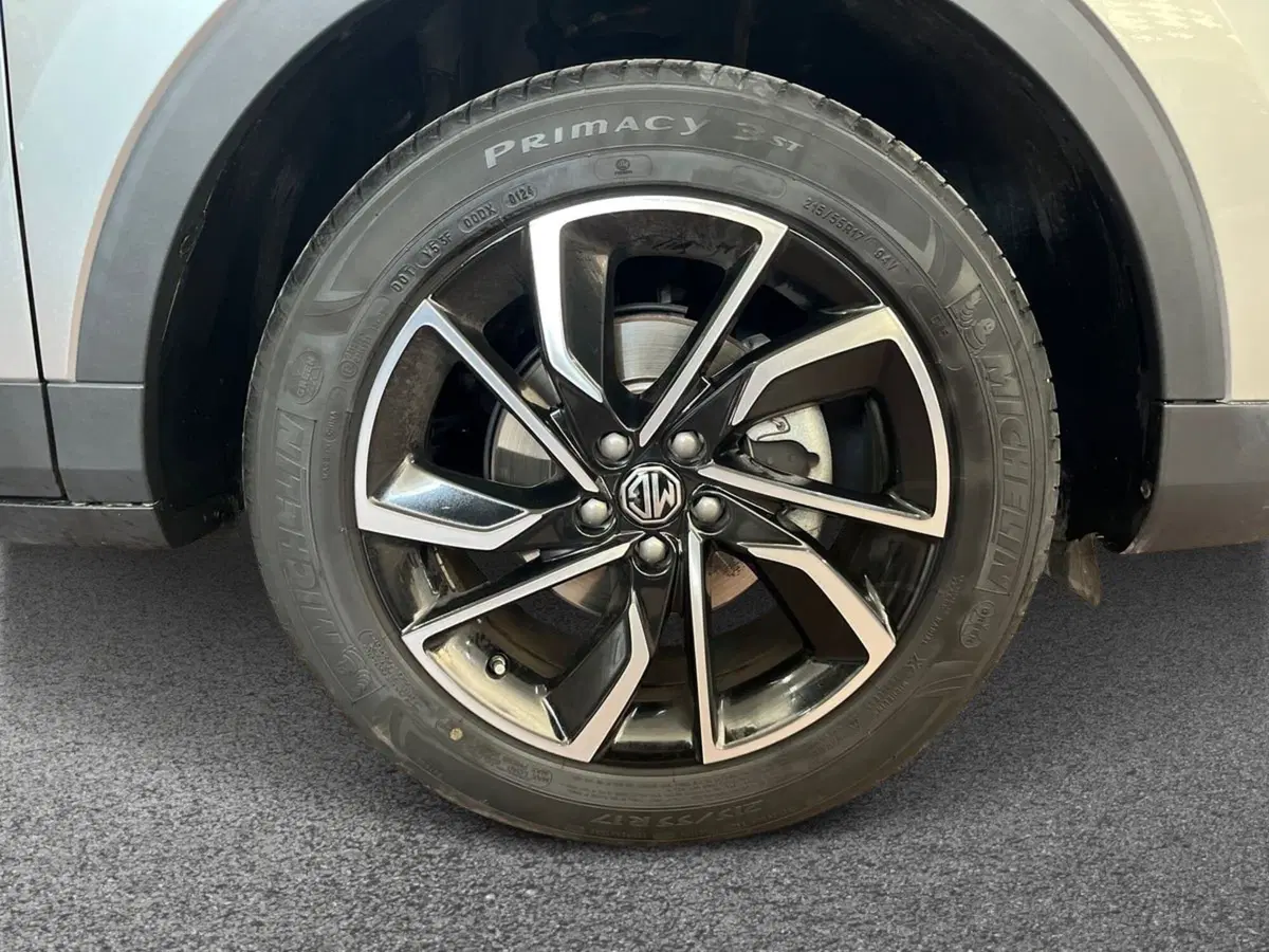 Mg ZS usata a Bari (6)