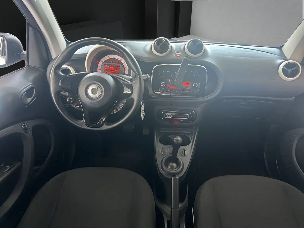 smart Fortwo usata a Cosenza (13)