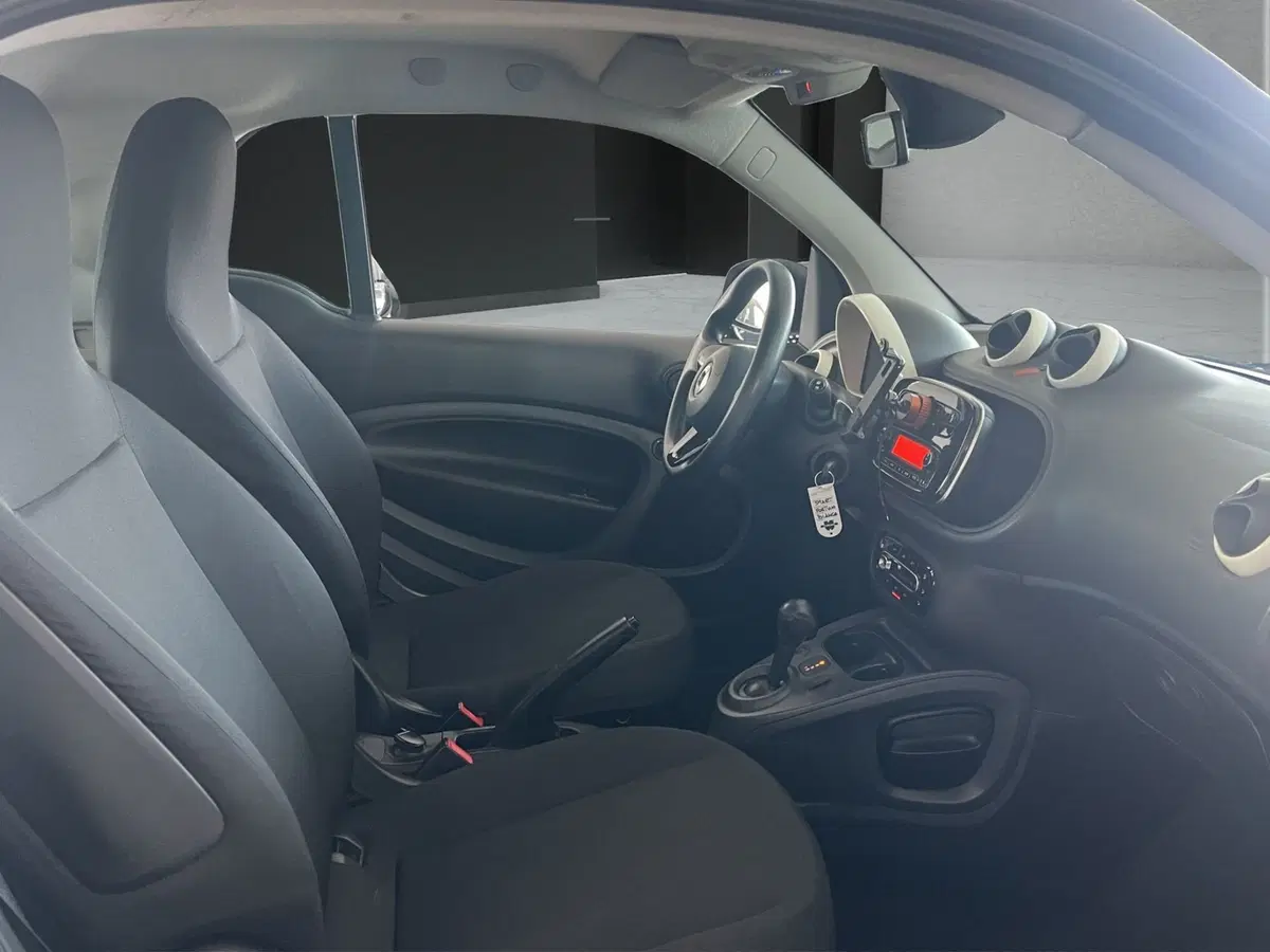 smart Fortwo usata a Cosenza (17)