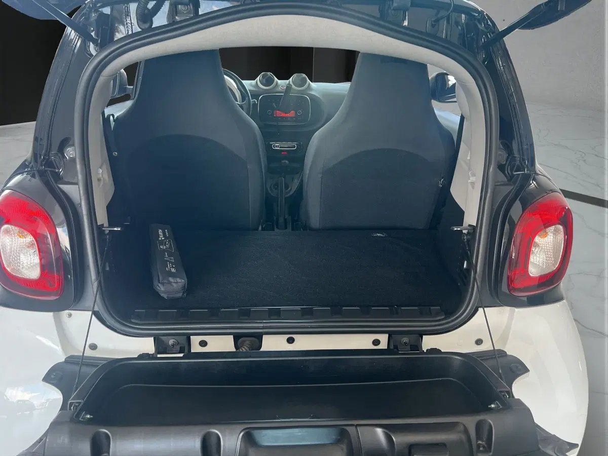 smart Fortwo usata a Cosenza (18)