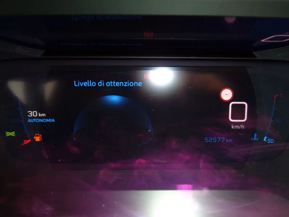 Peugeot 2008 usata a Treviso (11)
