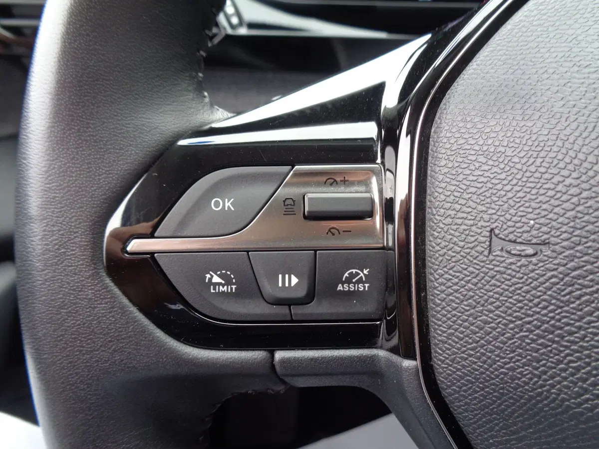 Peugeot 308 usata a Treviso (20)
