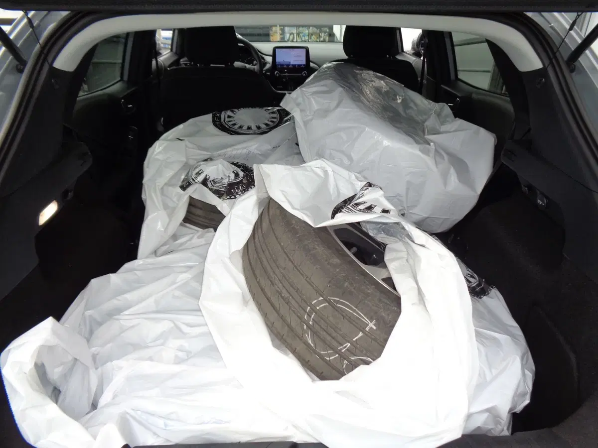 Ford Puma usata a Treviso (15)