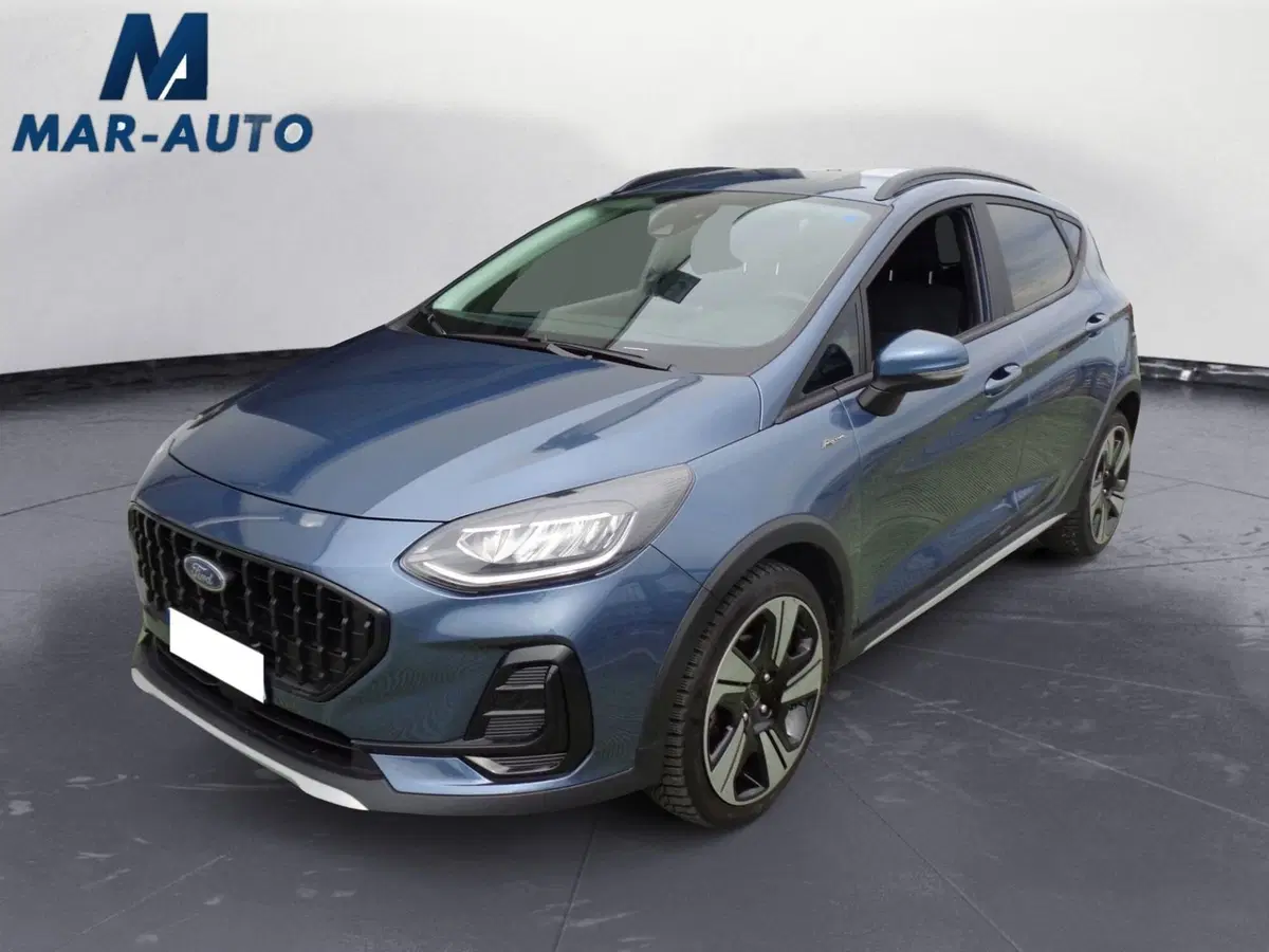 Ford Fiesta usata a Treviso