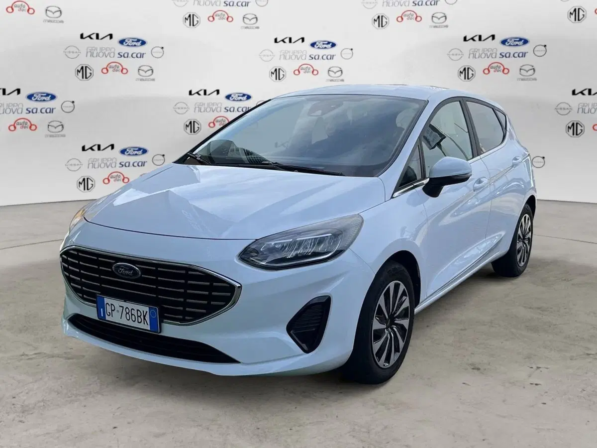 Ford Fiesta usata a Alessandria (2)