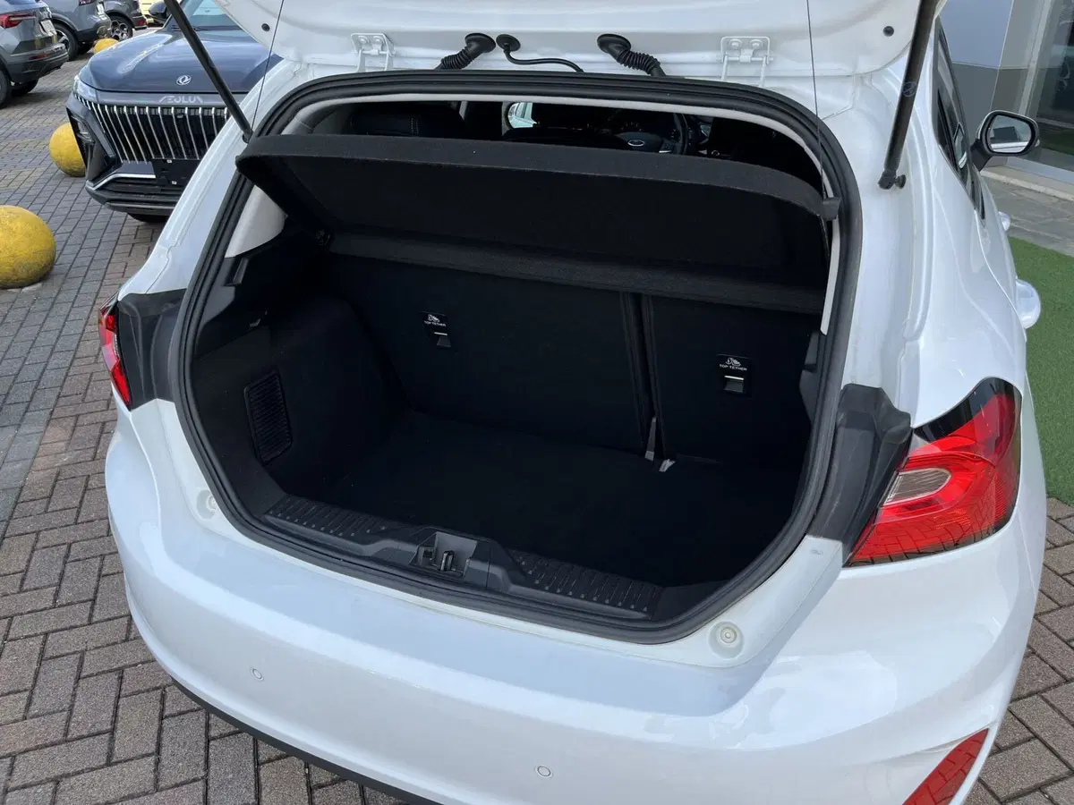 Ford Fiesta usata a Alessandria (5)