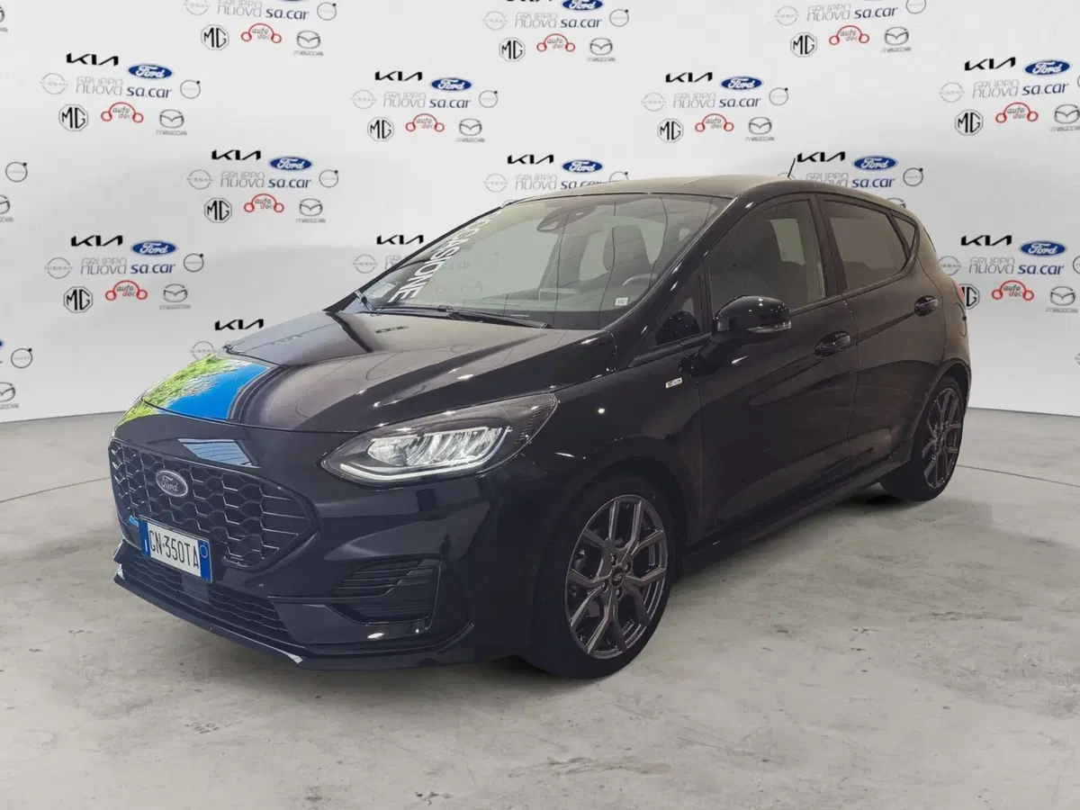 Ford Fiesta usata a Verbano Cusio Ossola