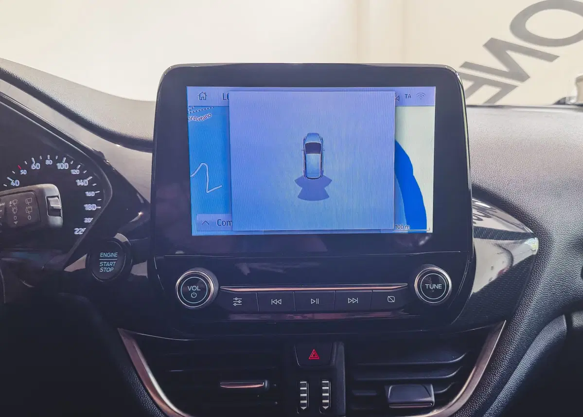 Ford Fiesta usata a Verbano Cusio Ossola (14)