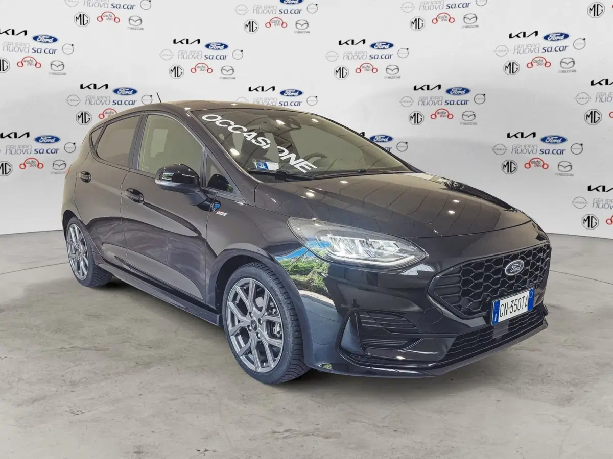 Ford Fiesta usata a Verbano Cusio Ossola (2)