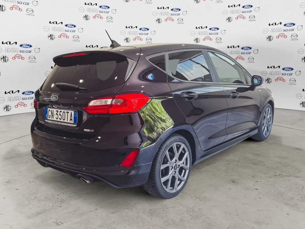 Ford Fiesta usata a Verbano Cusio Ossola (3)
