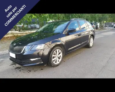 Skoda Octavia Station Wagon 2.0 TDI SCR 150 CV Wagon Executive del 2019 usata a Cesena