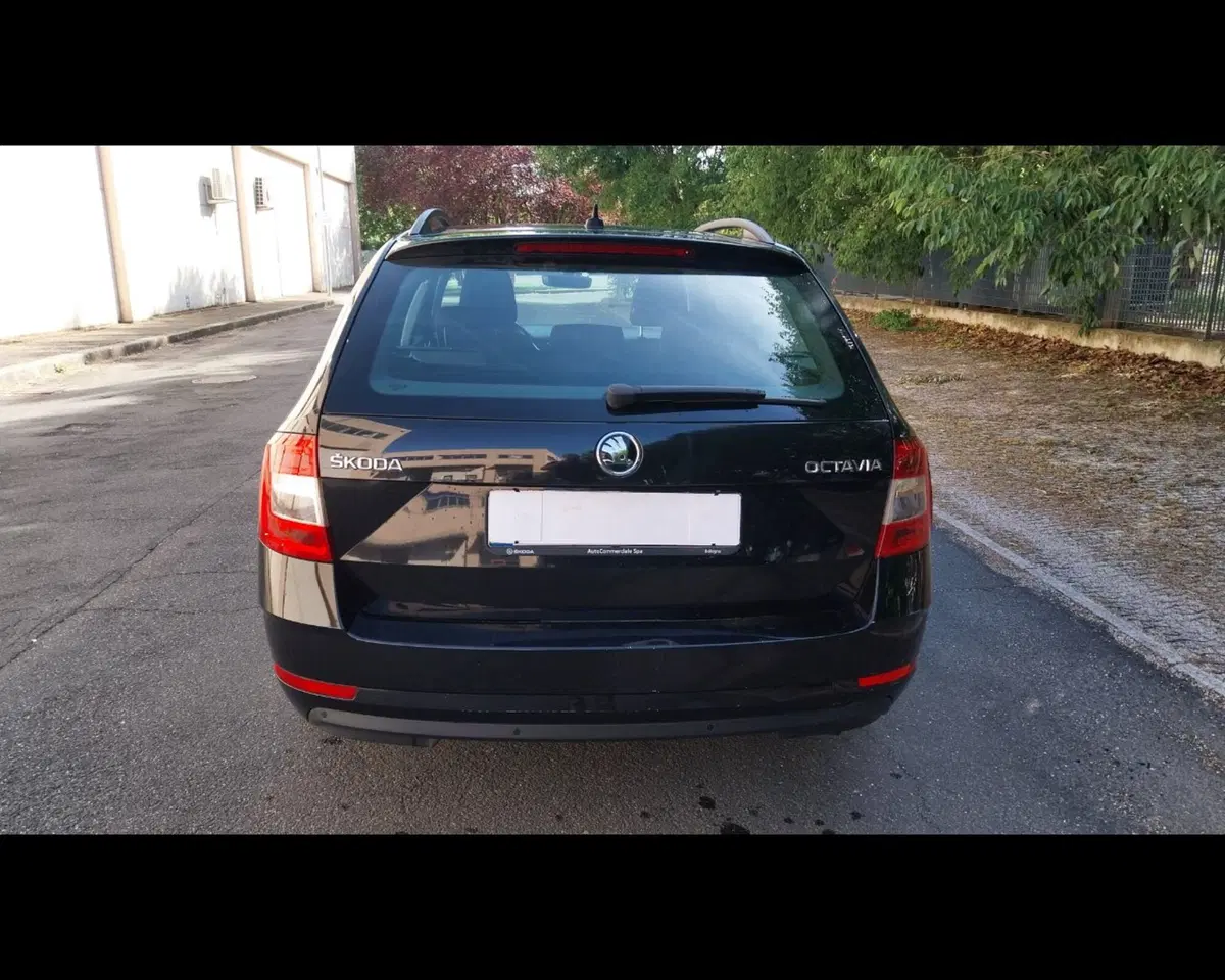 Skoda Octavia Station Wagon usata a Forlì-Cesena (5)