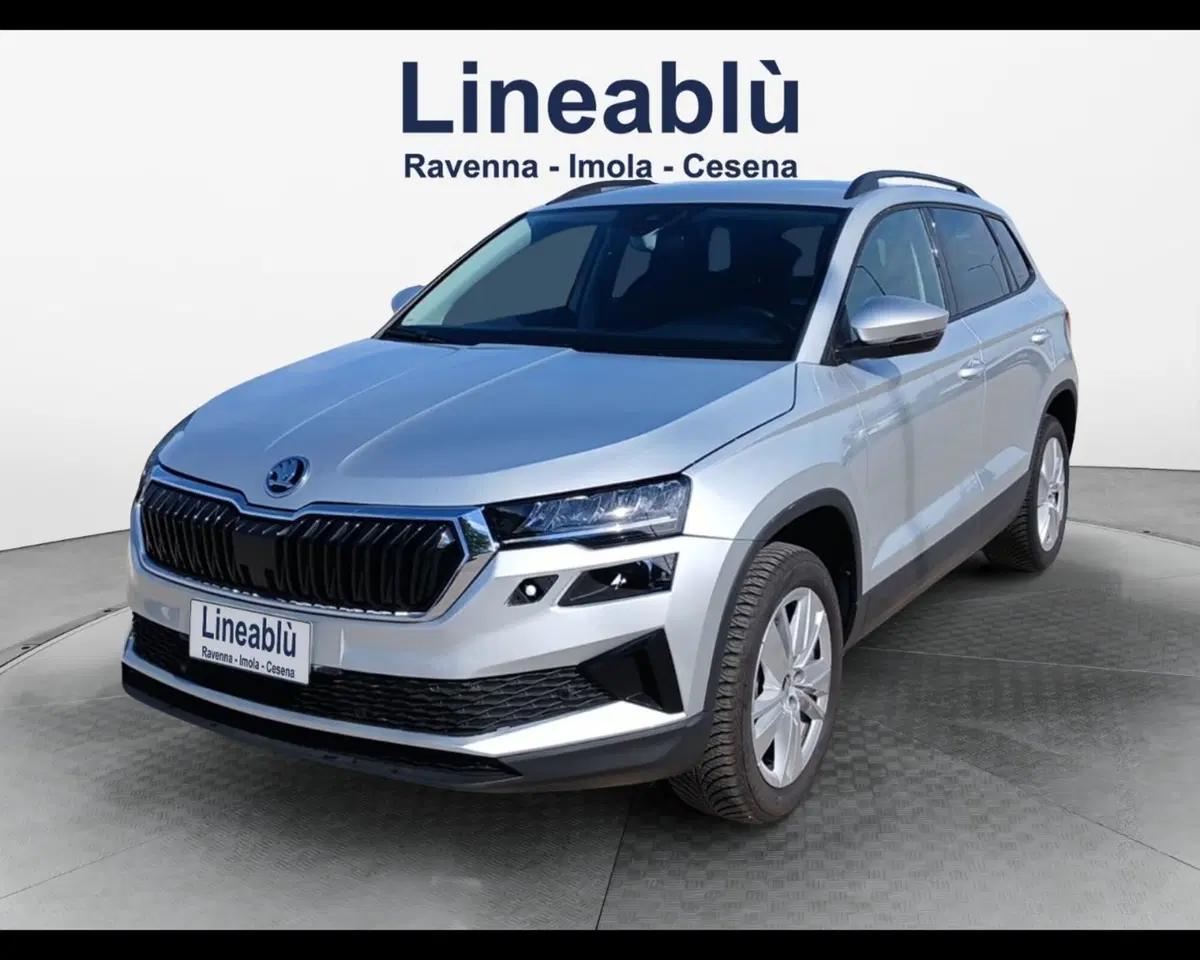 Skoda Karoq usata a Ravenna