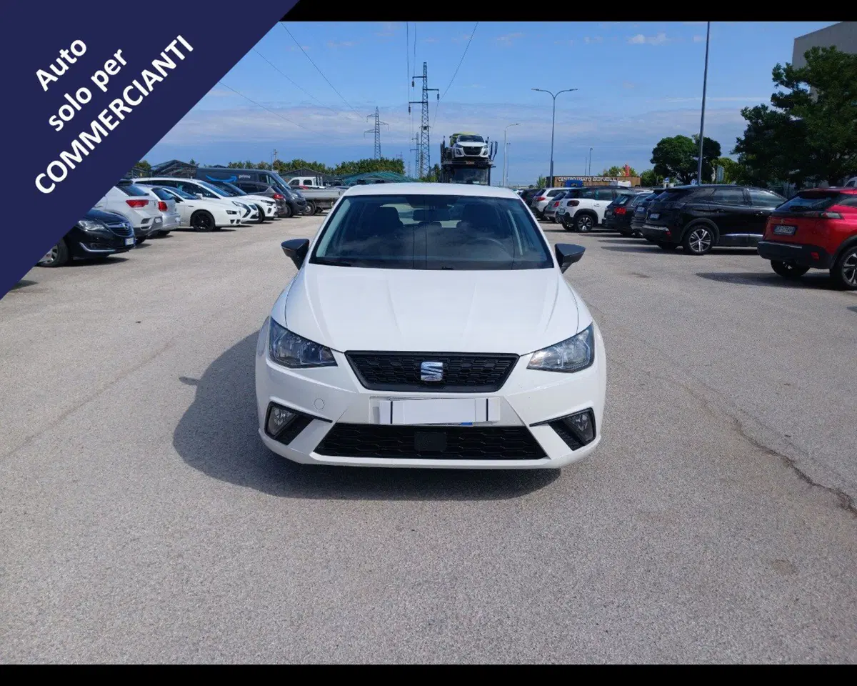 SEAT Ibiza usata a Ravenna