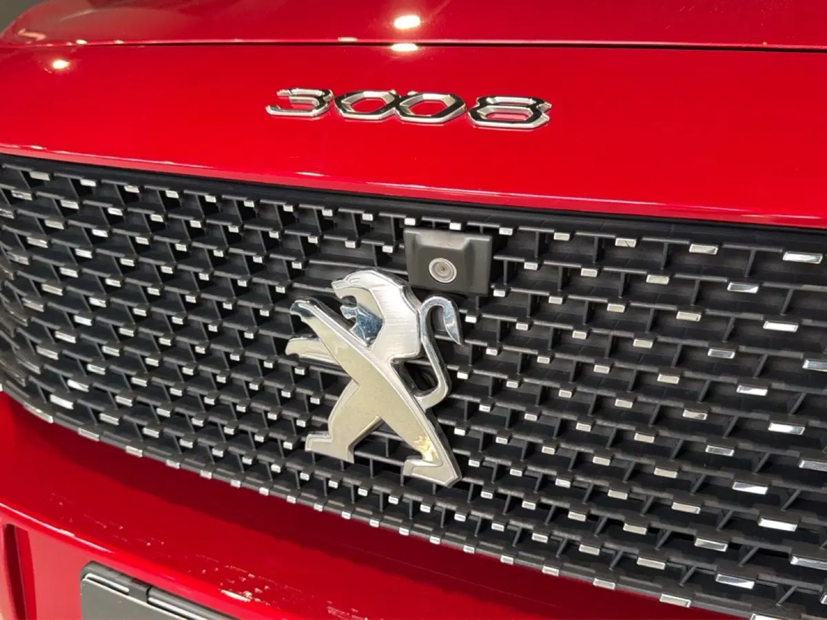 Peugeot 3008 usata a Vicenza (16)