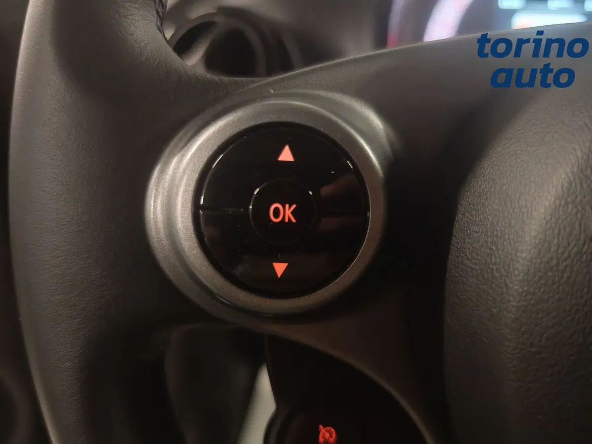 smart Fortwo usata a Torino (13)