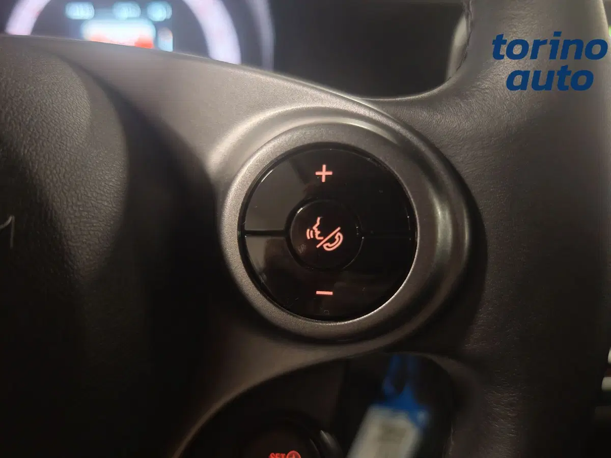smart Fortwo usata a Torino (14)