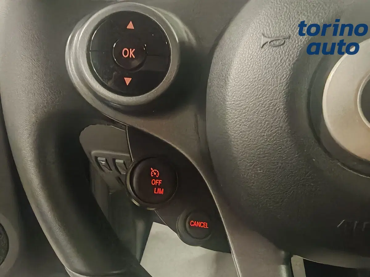 smart Fortwo usata a Torino (15)