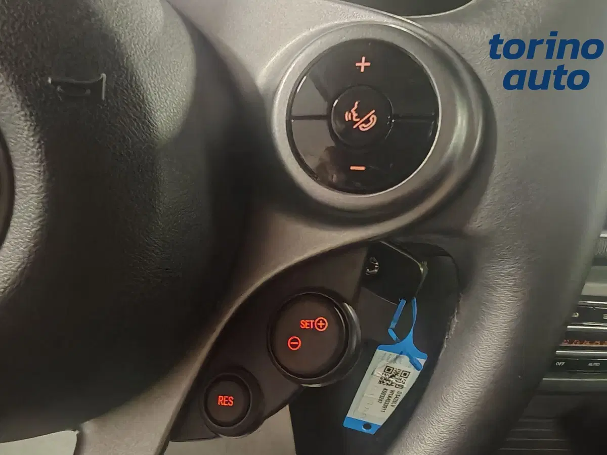 smart Fortwo usata a Torino (16)
