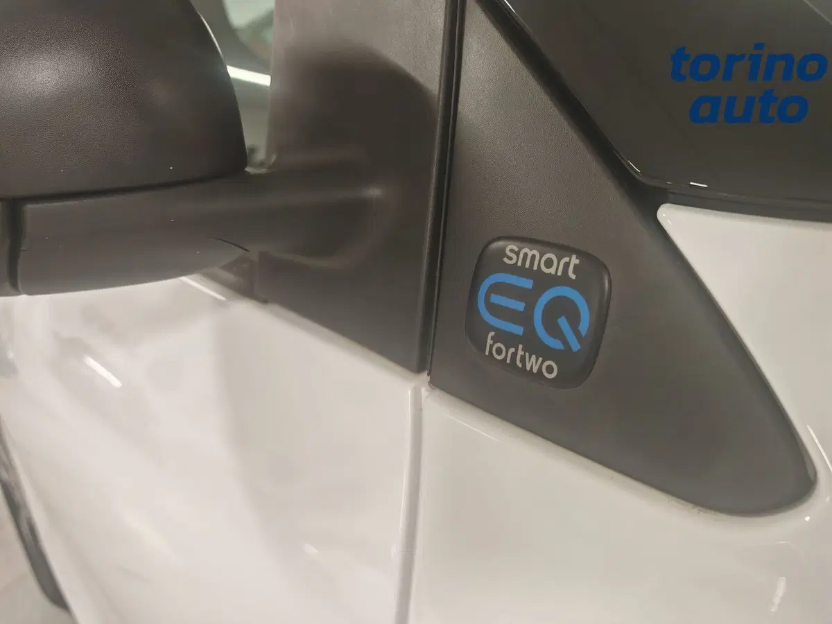 smart Fortwo usata a Torino (5)
