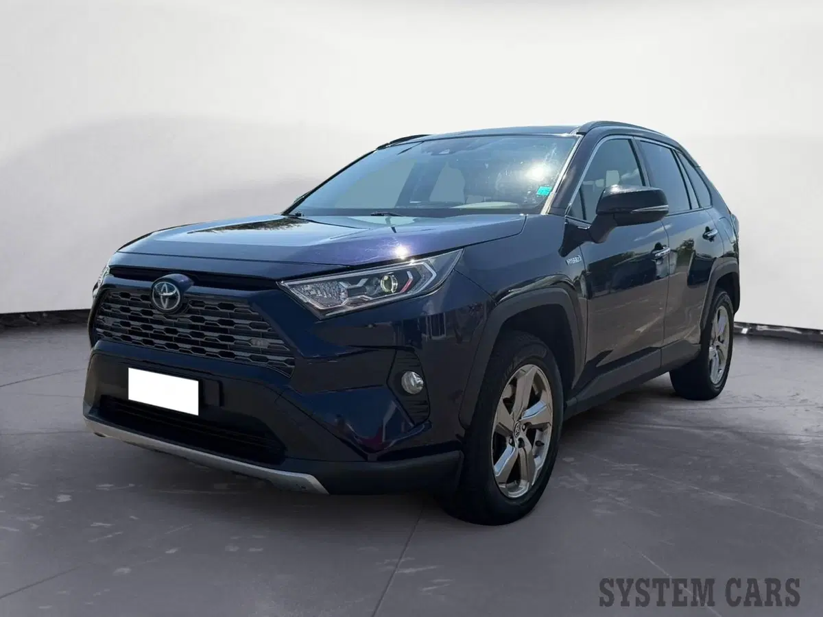 Toyota Rav4 usata a Varese