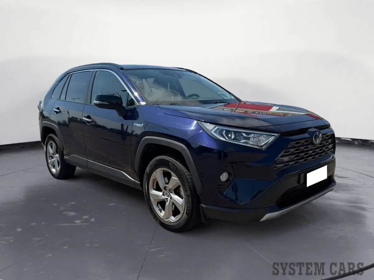 Toyota Rav4 usata a Varese (3)