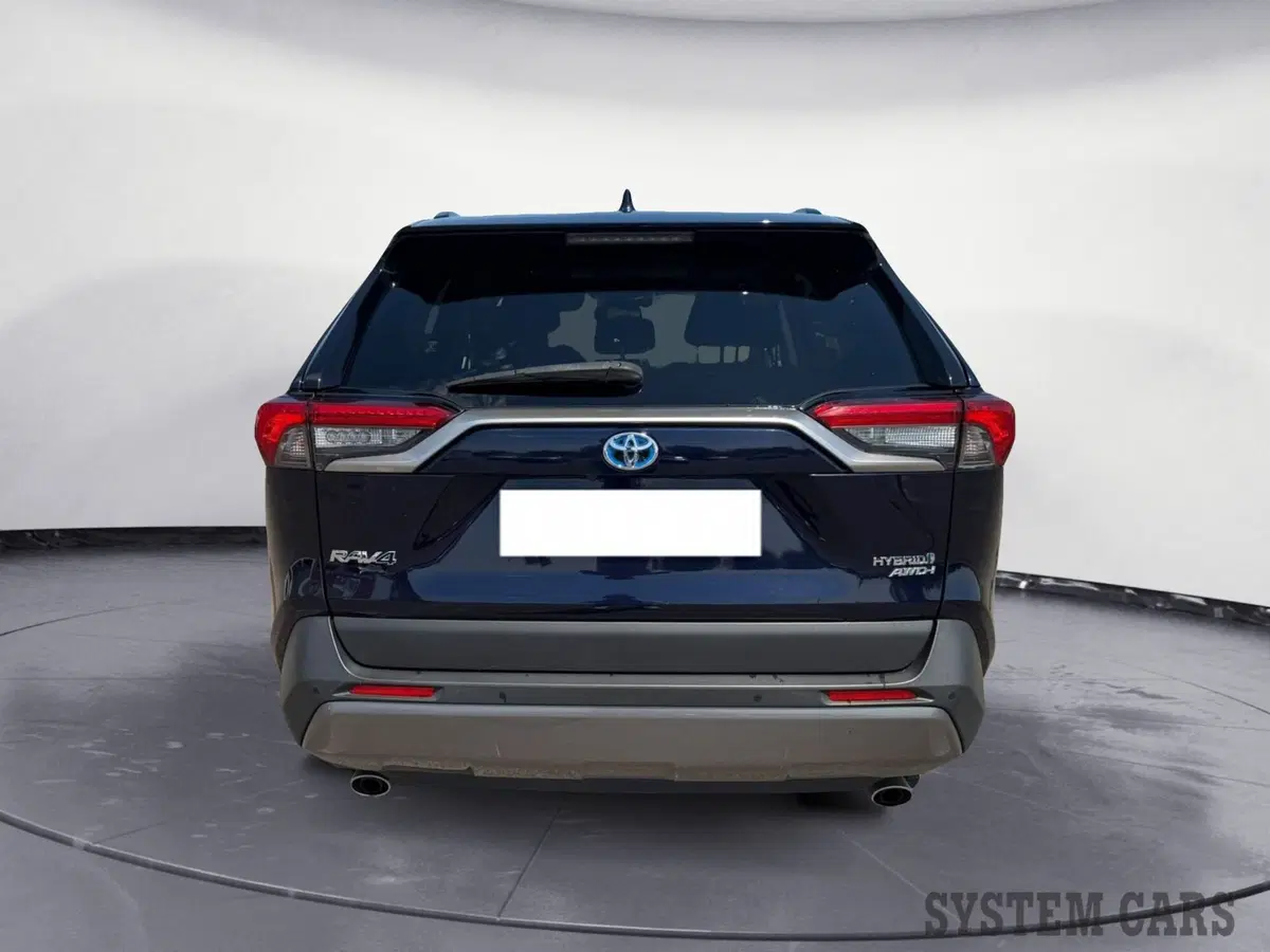 Toyota Rav4 usata a Varese (5)