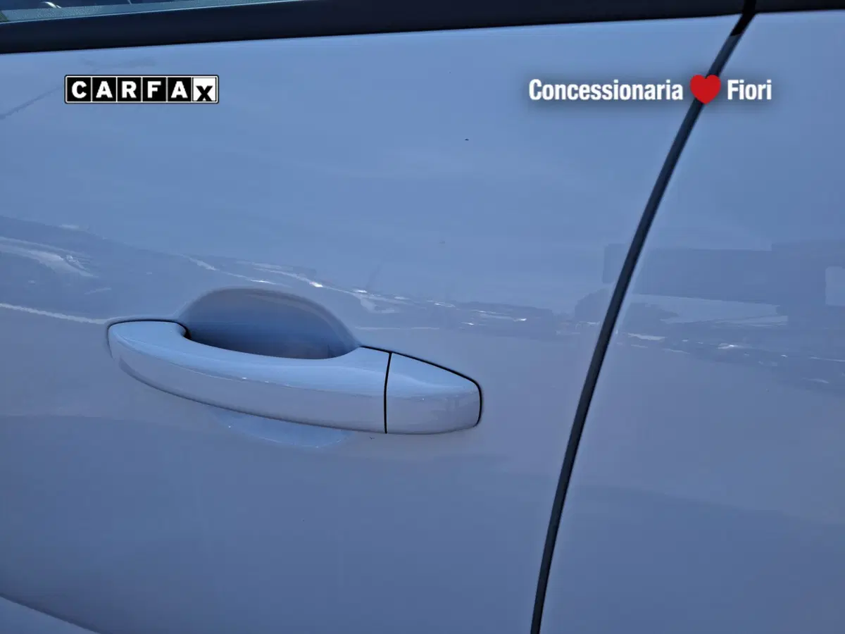 Dacia Sandero usata a Latina (9)