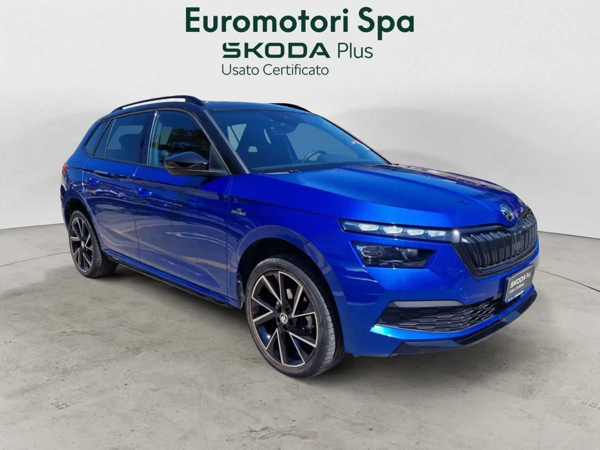 Skoda Kamiq usata a Siena (7)