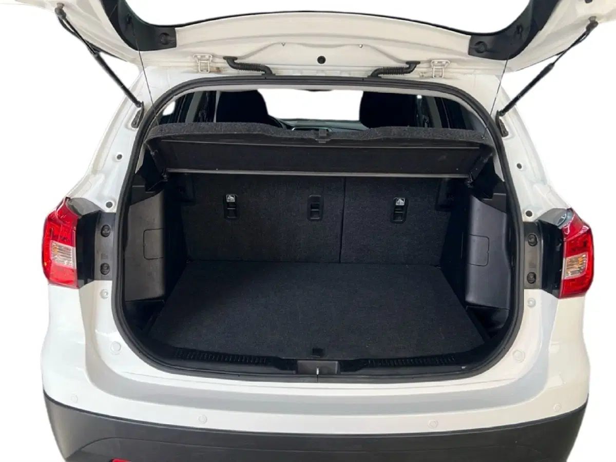 Suzuki S-Cross usata a Roma (10)