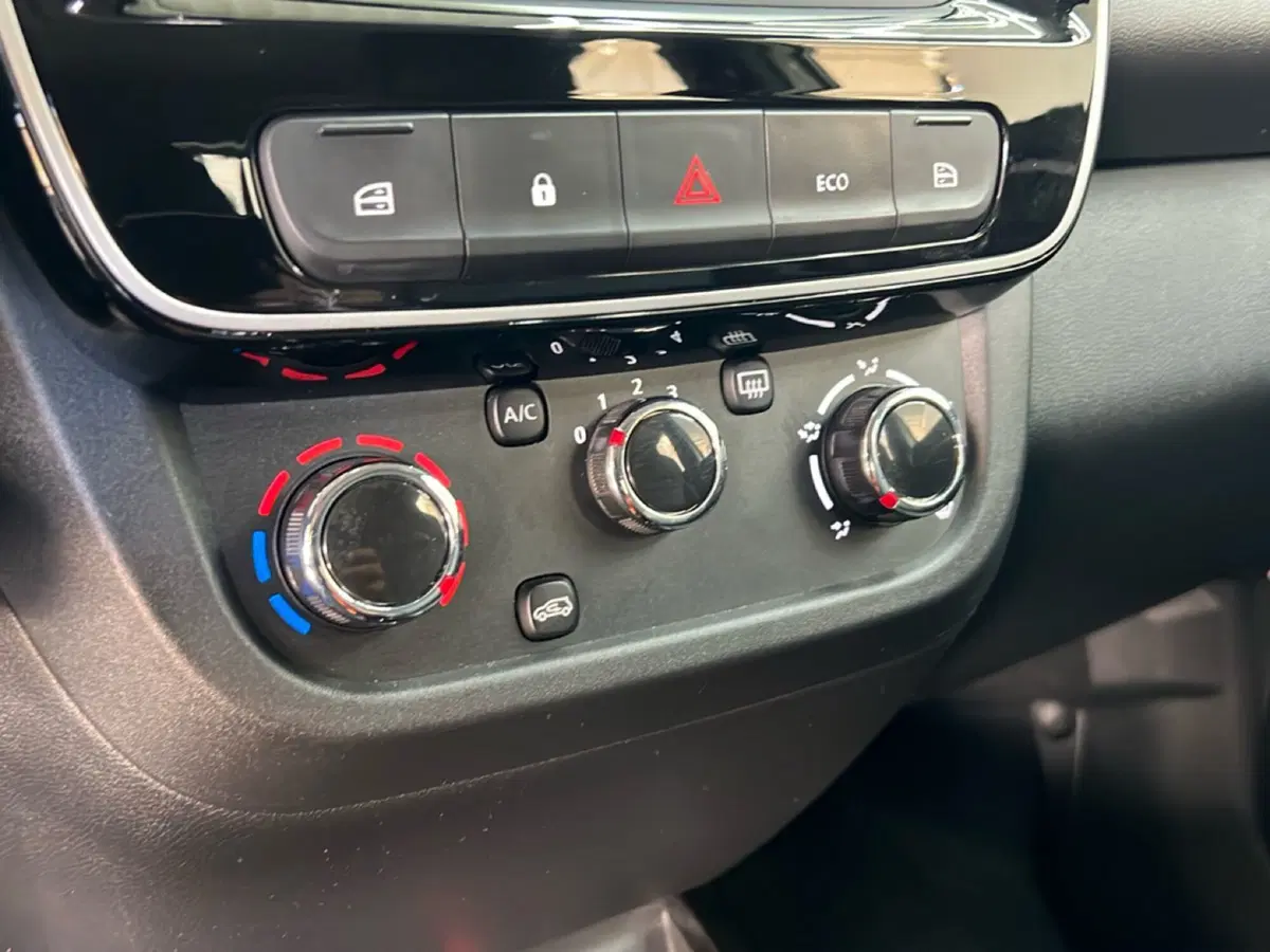 Dacia Spring usata a Roma (19)