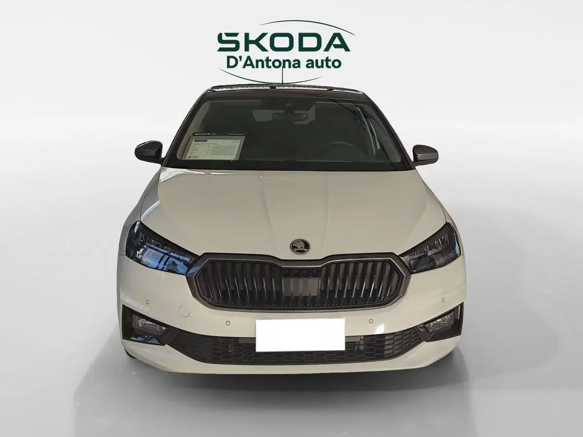 Skoda Fabia nuova a Taranto (8)