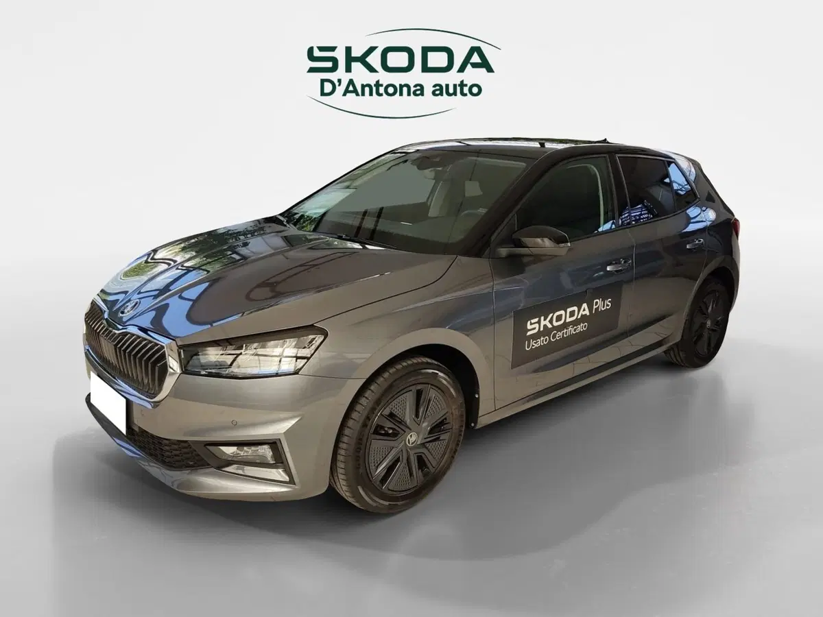 Skoda Fabia usata a Taranto (2)