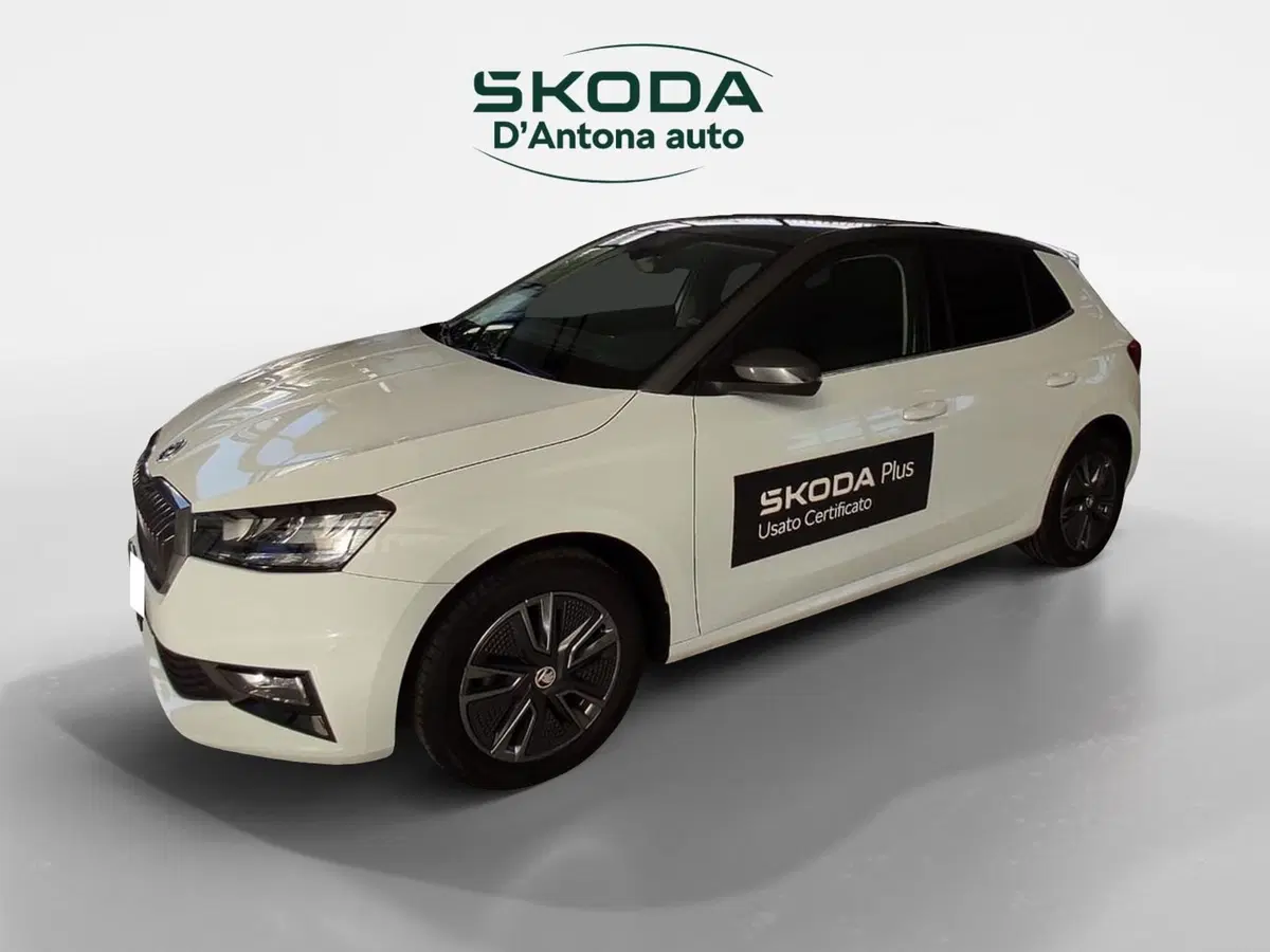 Skoda Fabia usata a Taranto (2)