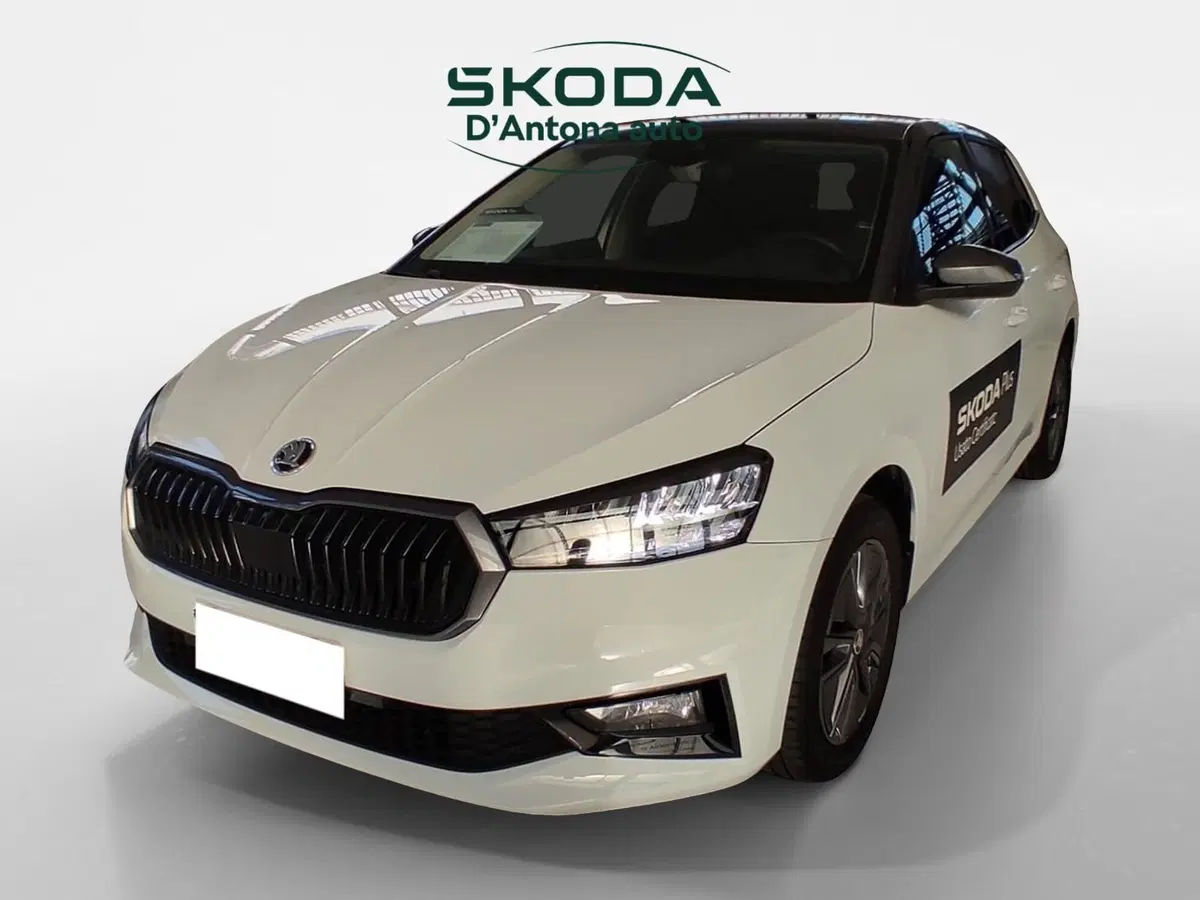Skoda Fabia usata a Taranto (5)